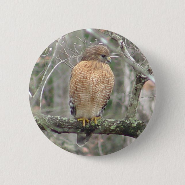 Red Tailed Hawk Bird Button (Front)