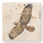 Red Tailed Hawk Bird Wildlife Animal Stone Coaster