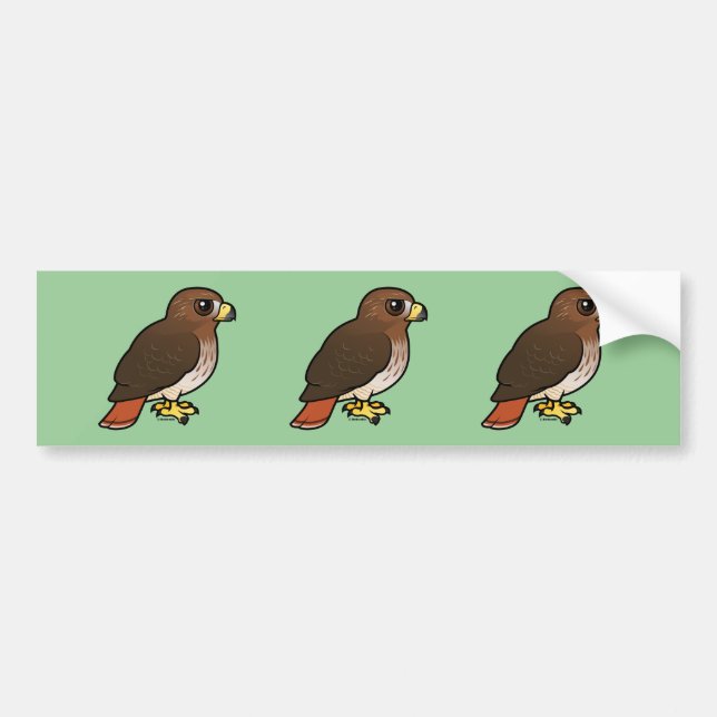 Red-tailed Hawk Bumper Sticker (Front)