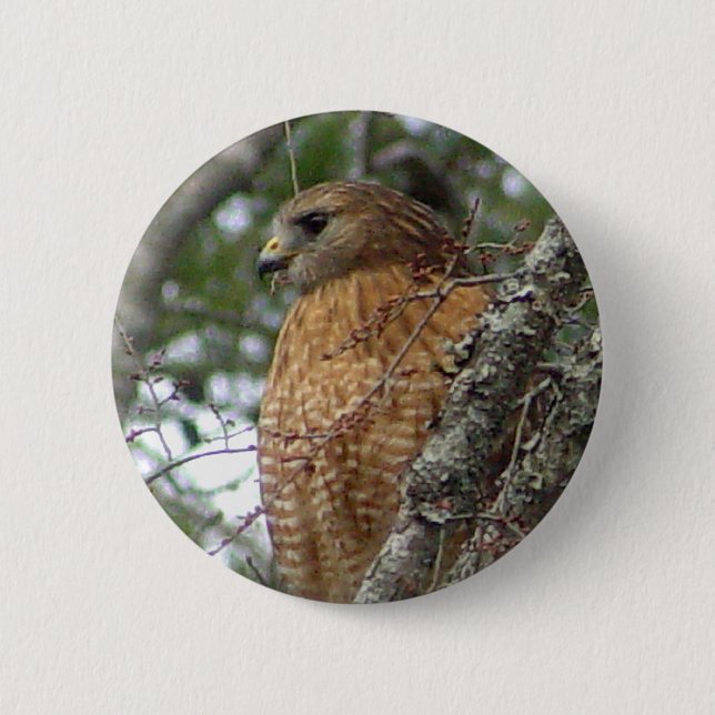 Red Tailed Hawk Button (Front)