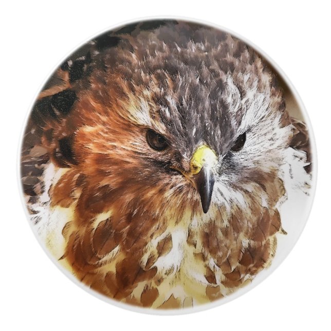 RED TAILED HAWK CERAMIC KNOB (Front)
