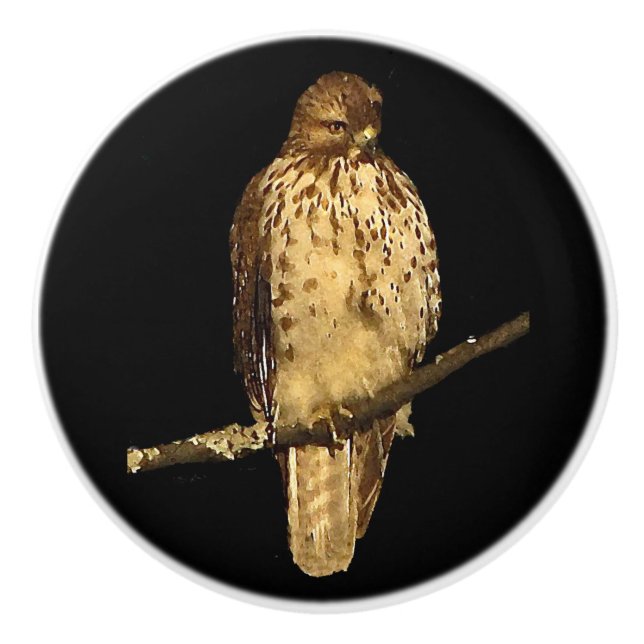Red Tailed Hawk Ceramic Knob (Front)
