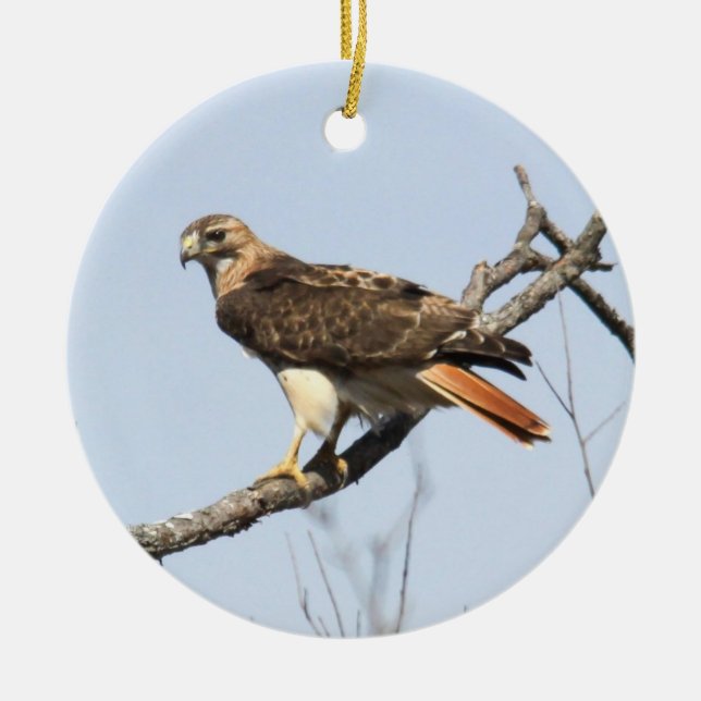 Red-tailed Hawk Ceramic Tree Decoration (Front)