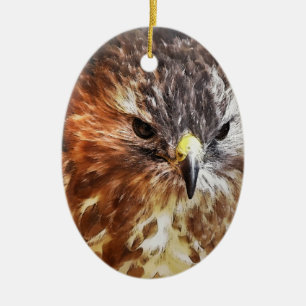 RED TAILED HAWK CERAMIC TREE DECORATION