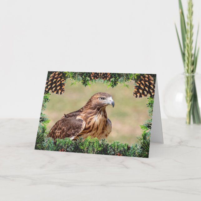 Red-Tailed Hawk Christmas Card (Front)