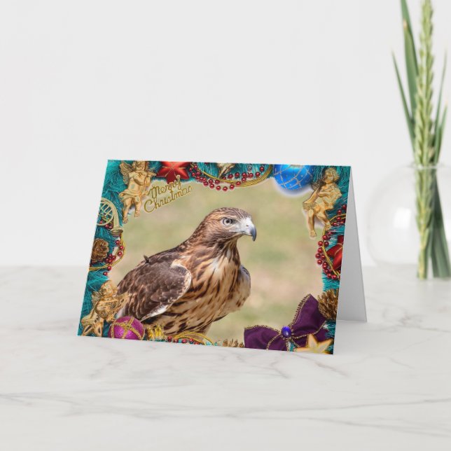 Red-Tailed Hawk Christmas Card (Front)