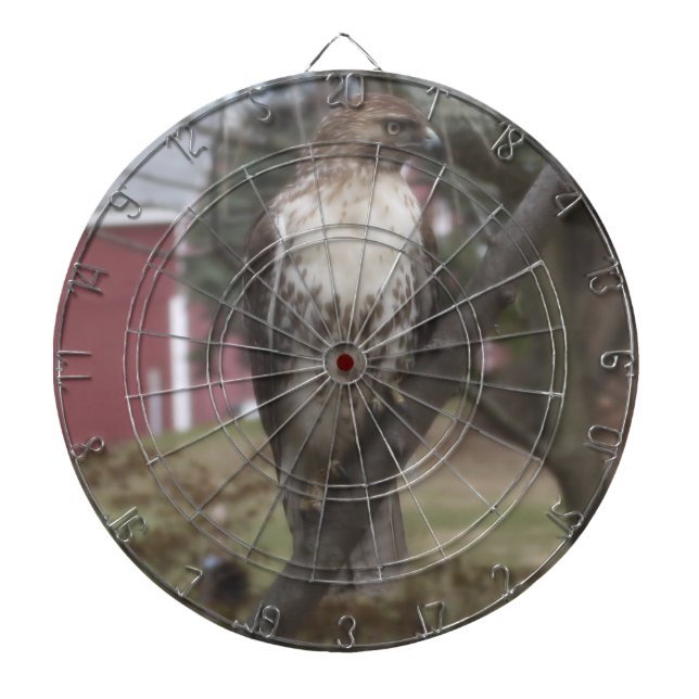 Red-Tailed Hawk Dart Board (Front)