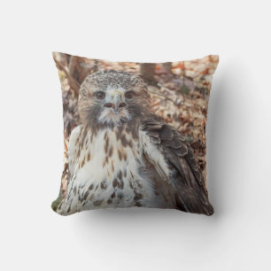 Red Tailed Hawk Doubled Cushion