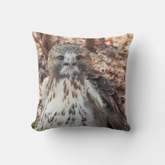 Red Tailed Hawk Doubled Cushion (Front)