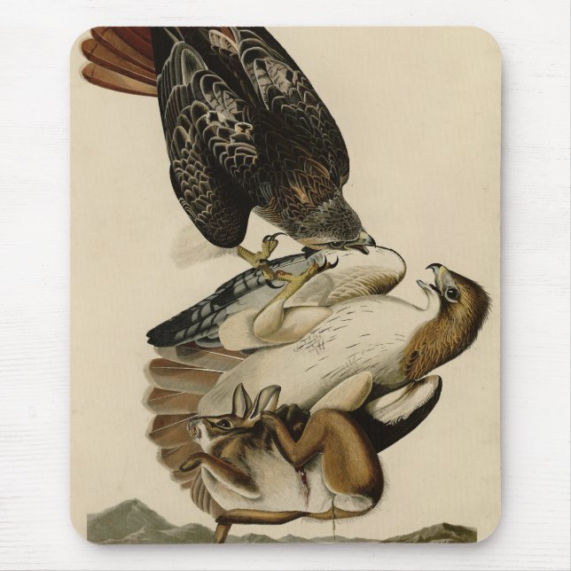 Red-tailed Hawk from Audubon's Birds of America Mouse Pad (Front)