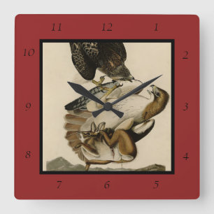 Red-tailed Hawk from Audubon's Birds of America Square Wall Clock