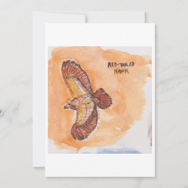Red-tailed hawk Greeting Card (Front)