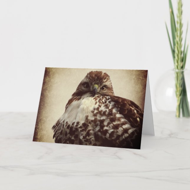 Red-tailed Hawk Greeting Card (Front)