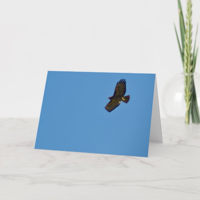 Red Tailed Hawk in Flight Card (Front)