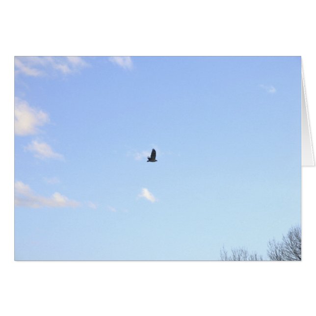 Red Tailed Hawk In Flight Card (Front Horizontal)