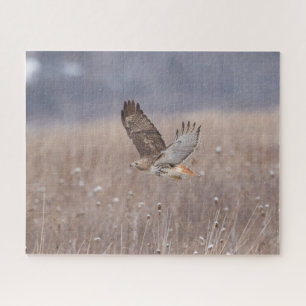 Red-tailed hawk in flight jigsaw puzzle