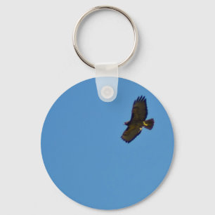 Red Tailed Hawk in Flight Key Ring