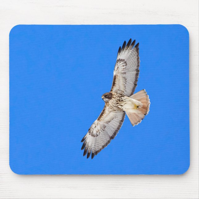 Red Tailed Hawk In Flight Mouse Pad (Front)