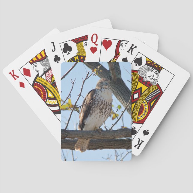 Red Tailed Hawk in flight Playing Cards (Back)