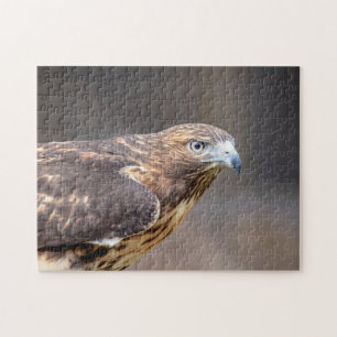 Red-tailed hawk in the Hudson Valley Jigsaw Puzzle