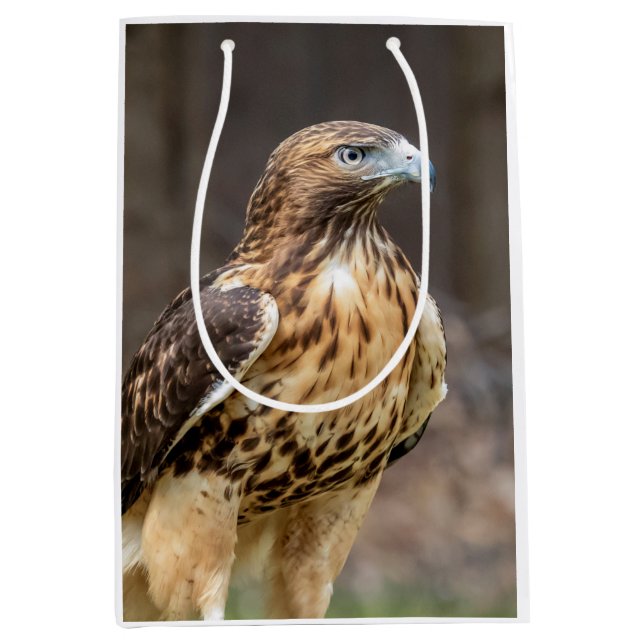 Red-tailed hawk in the Hudson Valley Medium Gift Bag (Front)