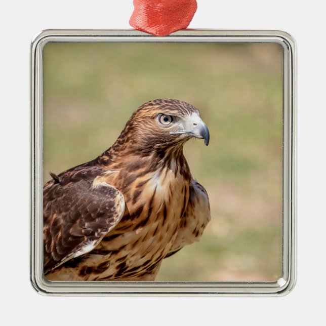 Red-tailed hawk in the Hudson Valley Metal Tree Decoration (Front)