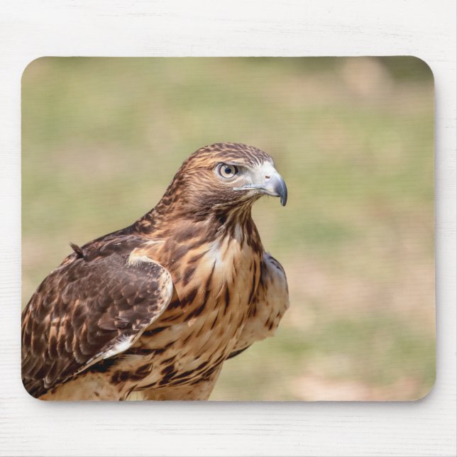 Red-tailed hawk in the Hudson Valley Mouse Pad (Front)