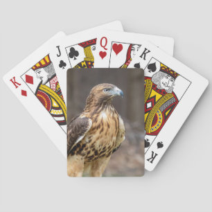 Red-tailed hawk in the Hudson Valley Playing Cards
