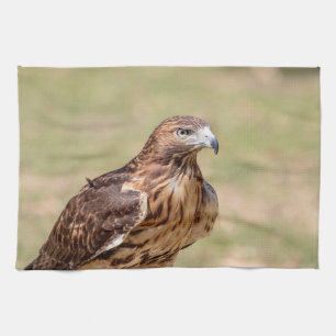 Red-tailed hawk in the Hudson Valley Tea Towel