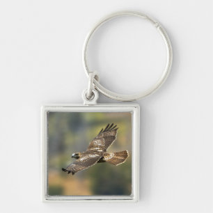 Red-tailed Hawk Key Ring
