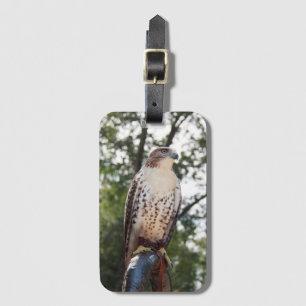 Red-Tailed Hawk Luggage Tag