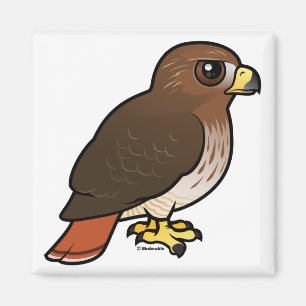Red-tailed Hawk Magnet