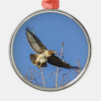 Red-tailed Hawk Metal Tree Decoration