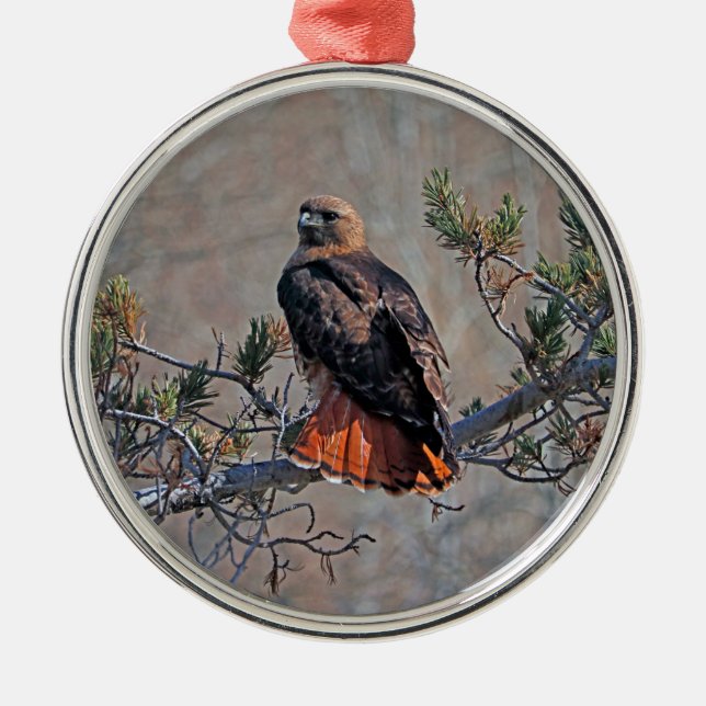 Red-tailed Hawk Metal Tree Decoration (Front)