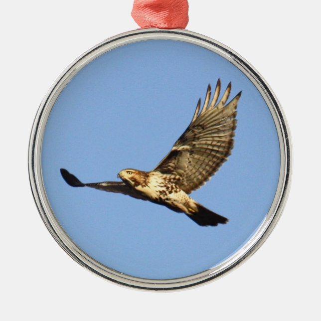 Red-tailed Hawk Metal Tree Decoration (Front)