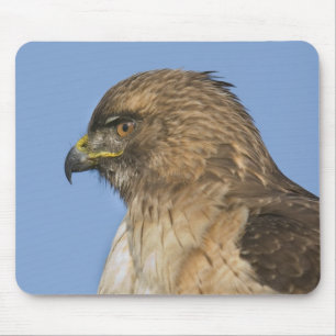 Red-tailed Hawk Mouse Pad