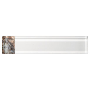 Red Tailed Hawk Nameplate