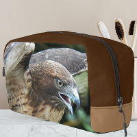 Red-tailed Hawk Nature Photo