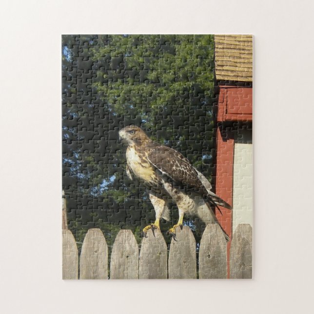 Red Tailed Hawk on Wooden Fence Jigsaw Puzzle (Vertical)
