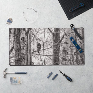 Red-tailed Hawk P8443 Desk Mat