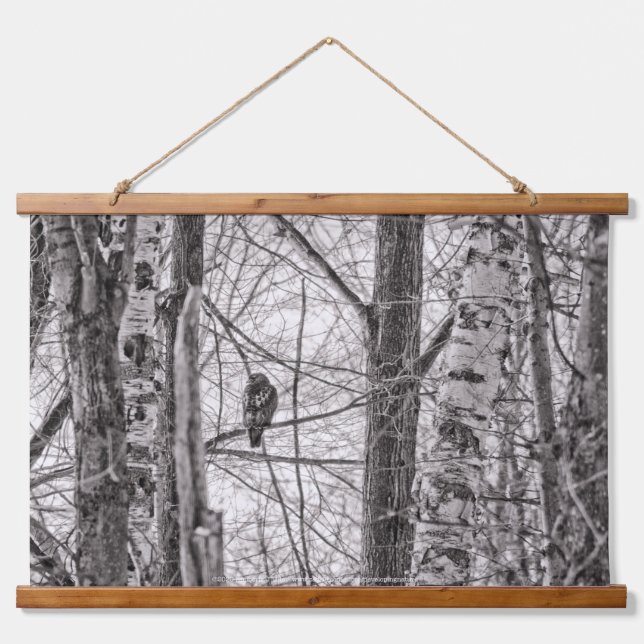 Red-tailed Hawk P8443 Hanging Tapestry (Front)