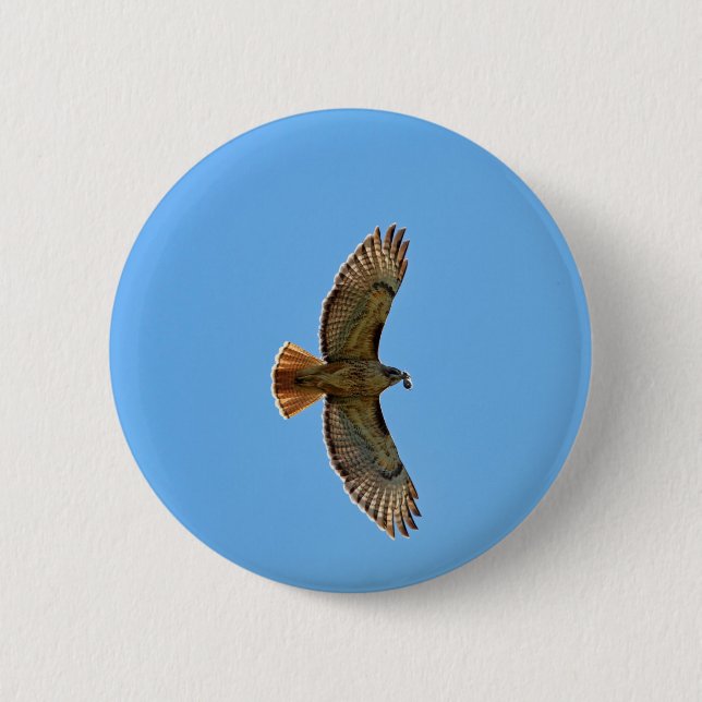 Red-Tailed Hawk Photo 6 Cm Round Badge (Front)