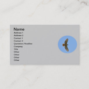 Red-Tailed Hawk Photo Business Card