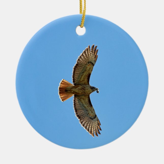Red-Tailed Hawk Photo Ceramic Tree Decoration (Front)