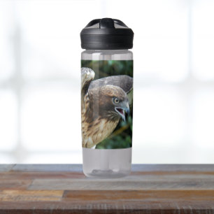 Red-tailed Hawk Photo Water Bottle