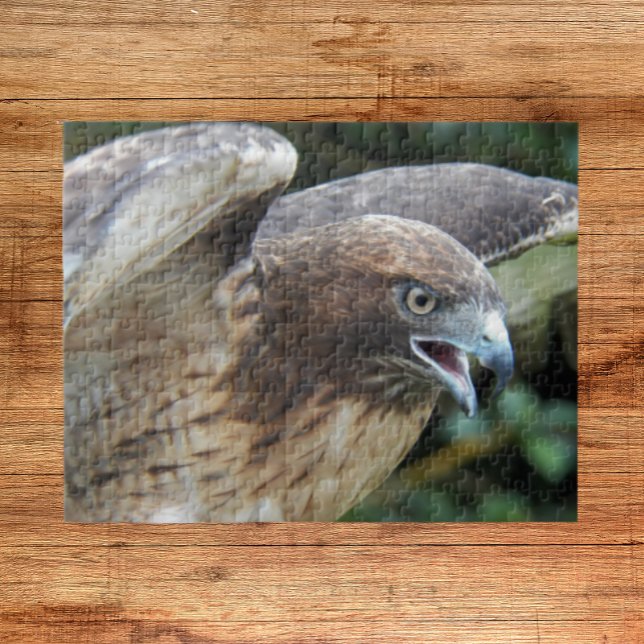 Red-tailed Hawk Raptor Animal Jigsaw Puzzle (In Situ)