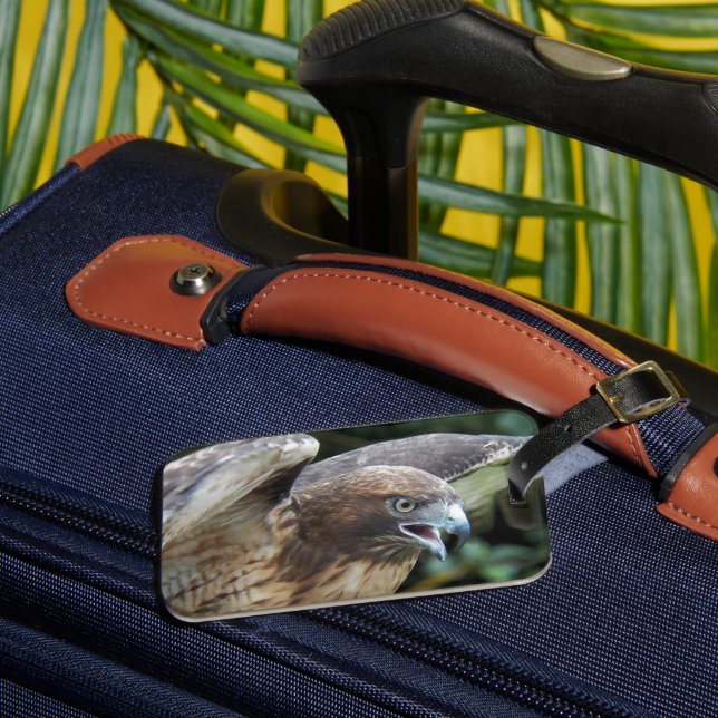 Red-tailed Hawk Raptor Photo Luggage Tag (Front Insitu 3)