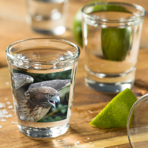 Red-tailed Hawk Raptor Photo Shot Glass