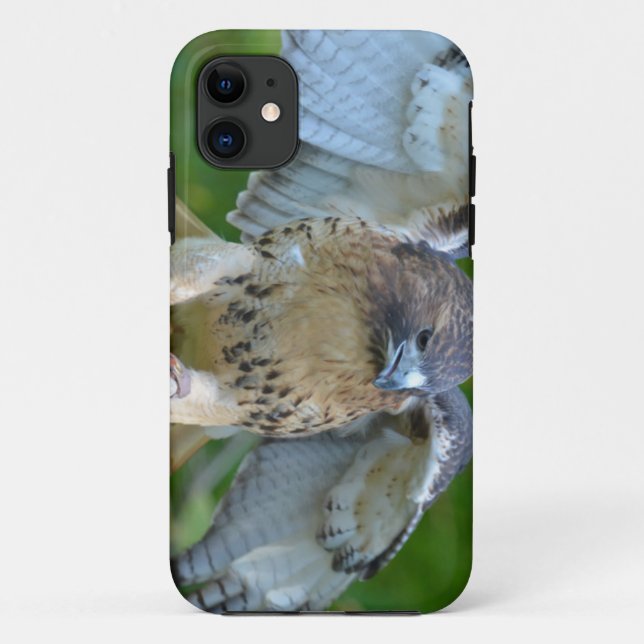Red-tailed Hawk Spread Wings Case-Mate iPhone Case (Back)