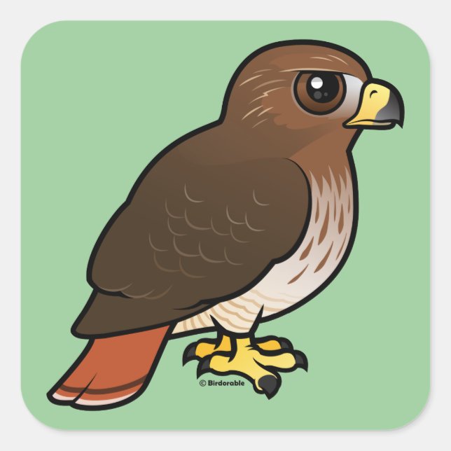 Red-tailed Hawk Square Sticker (Front)
